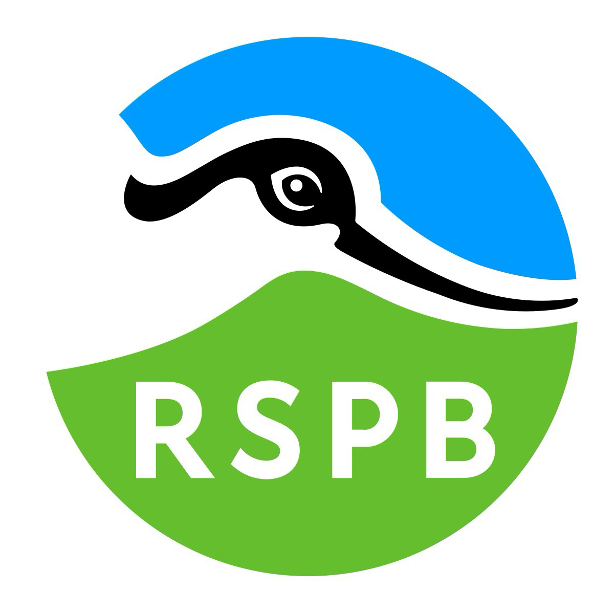 Bird Pins SEO