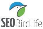 Bird Pins SEO